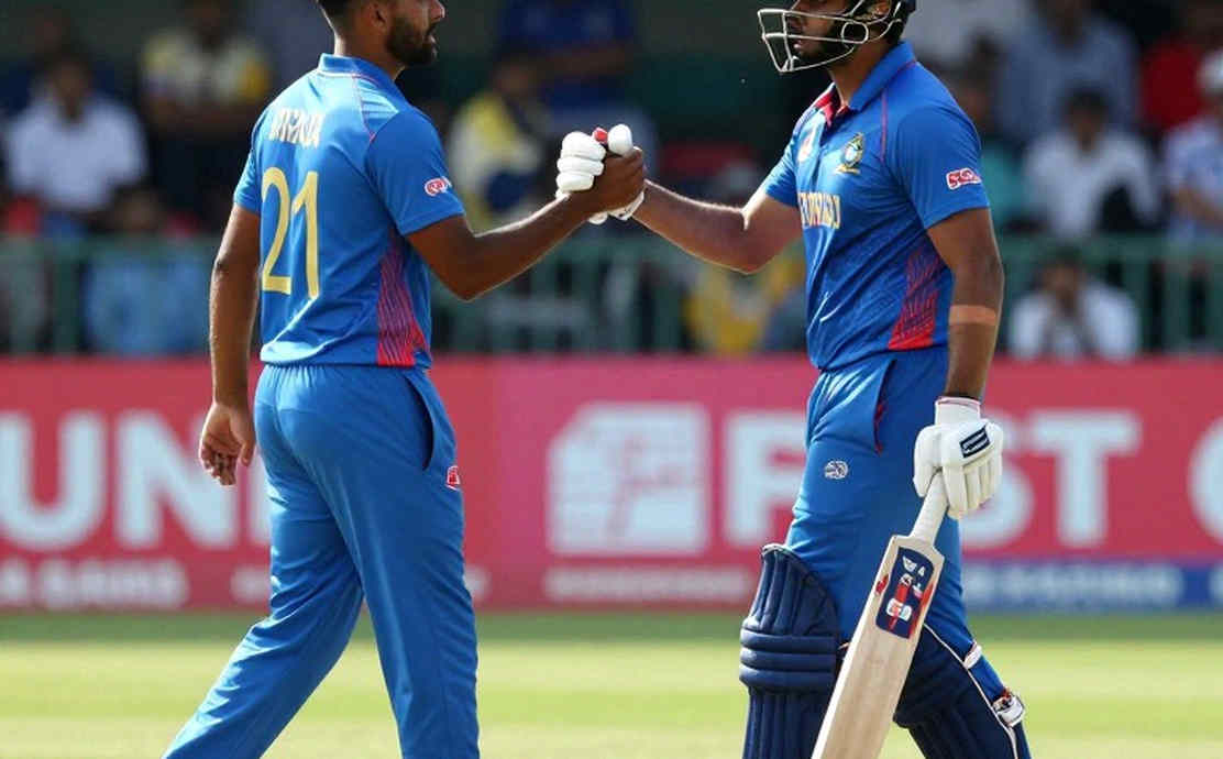 Empty Input, Zero Verdict: The Audit Chain of Cricket Analysis